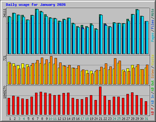 Daily usage for January 2026