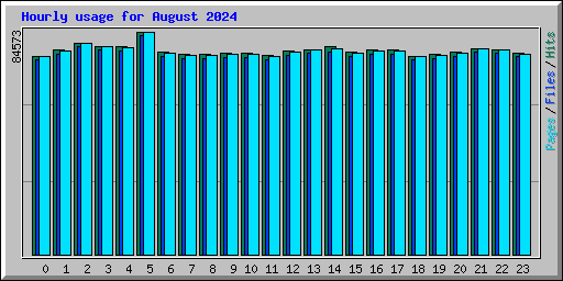 Hourly usage for August 2024