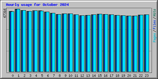 Hourly usage for October 2024