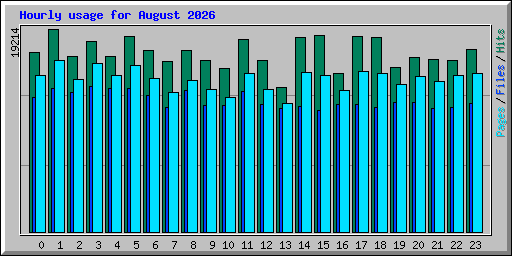 Hourly usage for August 2026